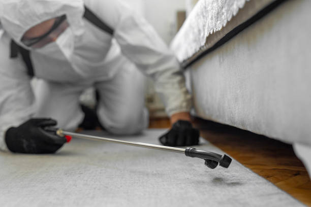 Professional Termite Control technician working in Chapel Hill, TN