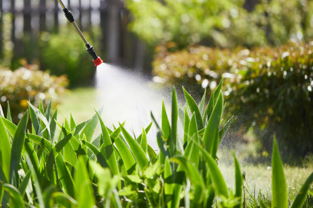 24/7 Emergency Termite Control experts in Chapel Hill, TN