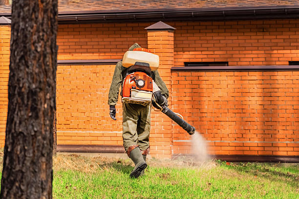 Trusted Emergency Pest Control service in Chapel Hill, TN - Nex Pest Control